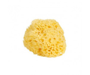 Esponja natural