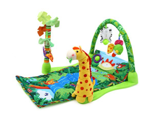 Gimnasio Animales de la Selva 