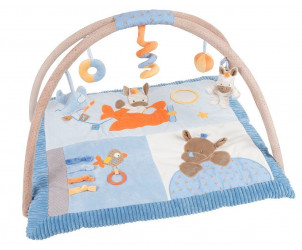 Gimnasio de Actividades