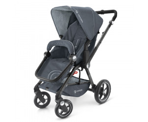 Silla de paseo Camino