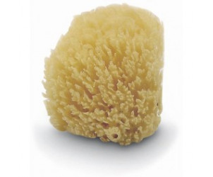 Esponja natural