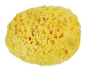 Nueva Esponja Natural