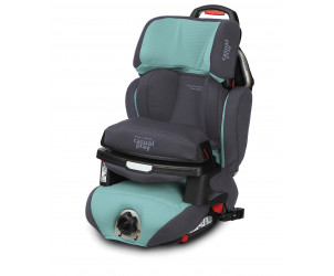 Silla de coche Multiprotector Fix 