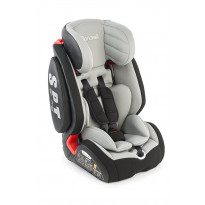 Silla de coche, grupo 1